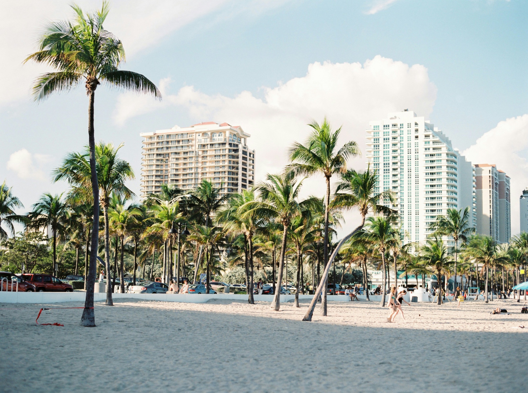 Spiaggia con palme in Florida